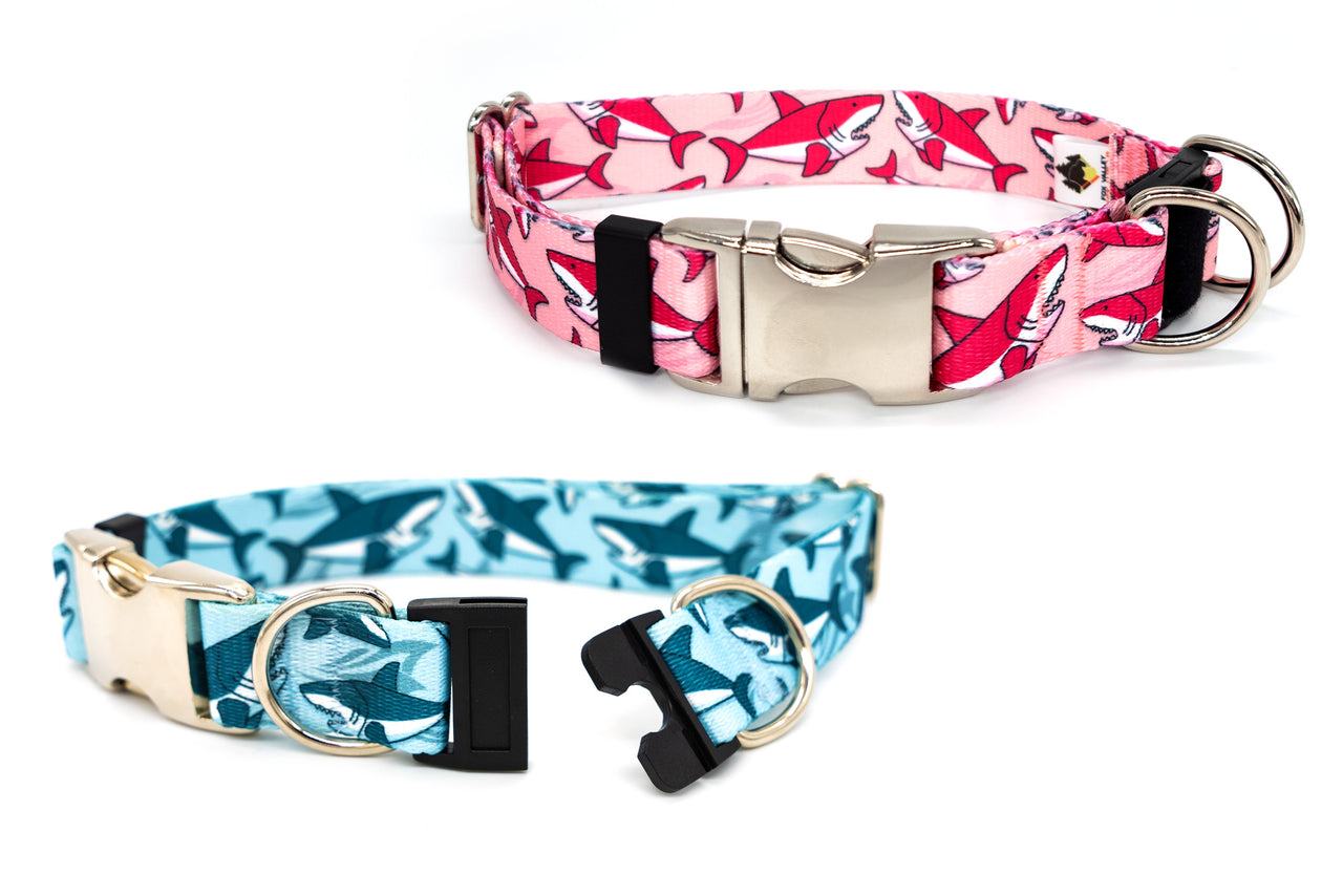 BREAKAWAY Personalized Blue or Pink "Sharks" Patterned Collar