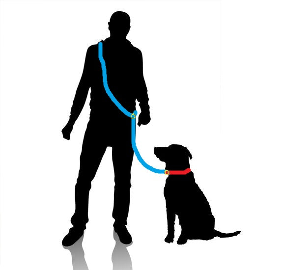Multi Function Reflective OR Solid Leash - 7 or 8 Feet Long - Fox Valley Pet Wear
